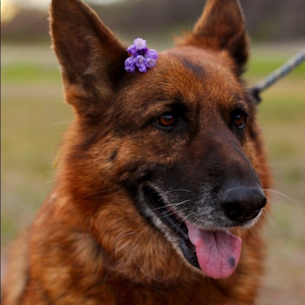 Meet your Posher, Faith